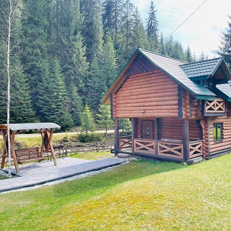 У Віти Котедж4 Synevyrsʼka Polyana Extérieur photo